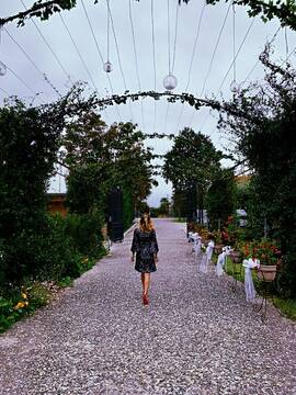 Public Photo of Sugar2020