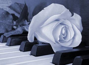 Foto publica di PiacevoleDistrazione