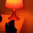 Poison_Eve Poison_Eve