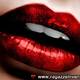 Blackrose17 Blackrose17